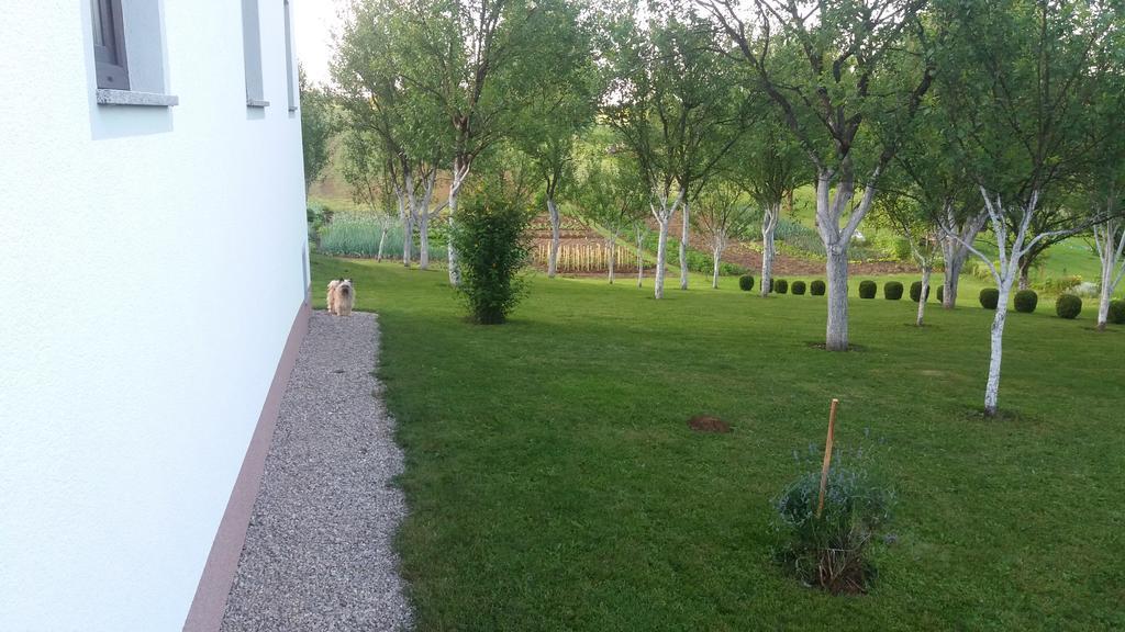 Guesthouse Tomas Catrnja Exterior photo